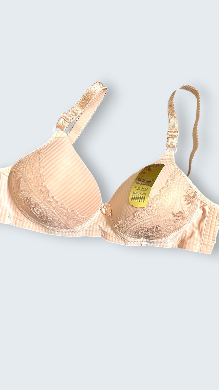Elegant Striped Lace Trim Full Coverage Bra - Everyday Comfort